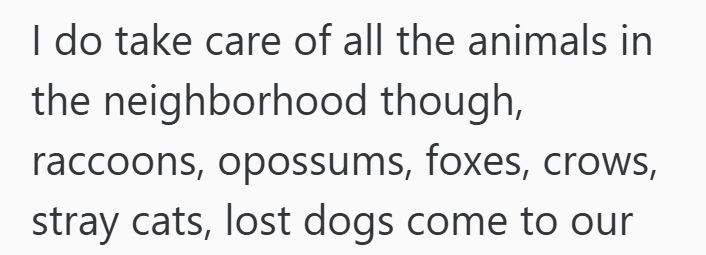 I do take care of all the animals in the neighborhood though, raccoons, opossums, foxes, crows, stray cats, lost dogs come to our