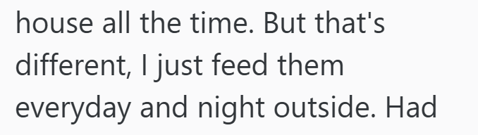 house all the time. But that's different, I just feed them. everyday and night outside. Had