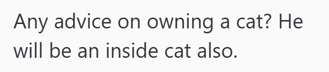 Any advice on owning a cat? He will be an inside cat also.