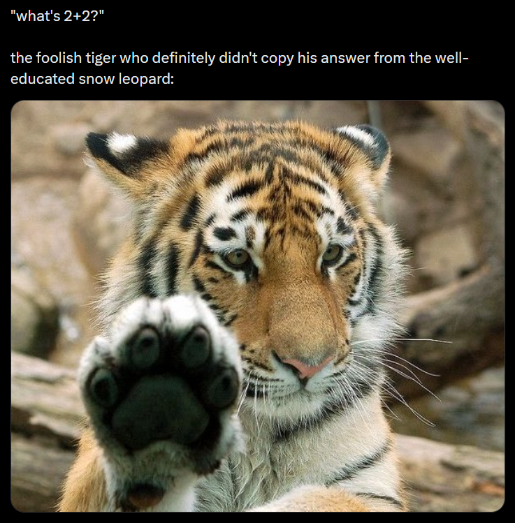 "what's 2+2?" the foolish tiger who definitely didn't copy his answer from the well- educated snow leopard: