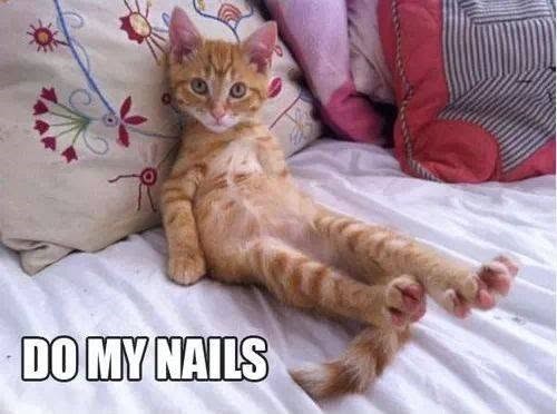 DO MY NAILS