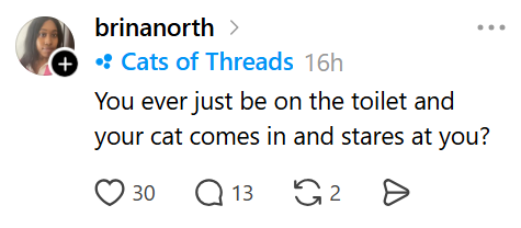 brinanorth > + • Cats of Threads 16h You ever just be on the toilet and your cat comes in and stares at you? ○ 30 Q13 G2 Ө