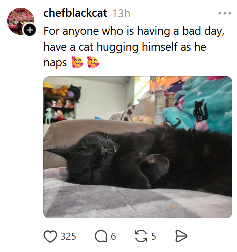 chefblackcat 13h + For anyone who is having a bad day, have a cat hugging himself as he naps 325 ☐ 6 5