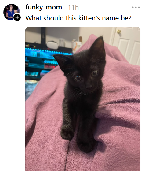 funky_mom_ 11h + What should this kitten's name be?