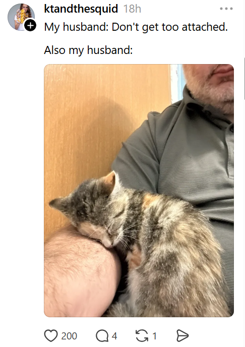 ktandthesquid 18h My husband: Don't get too attached. Also my husband: 200 Q 4 G1 >
