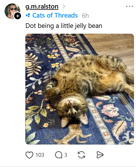g.m.ralston > • Cats of Threads 6h Dot being a little jelly bean 103 ○ 3 G =
