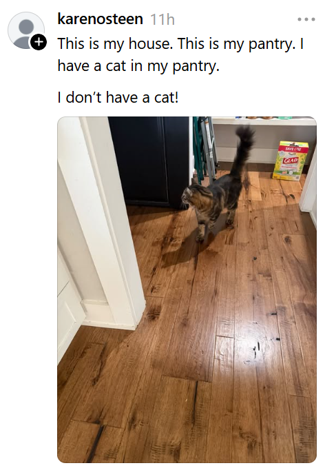 karenosteen 11h This is my house. This is my pantry. I I have a cat in my pantry. I don't have a cat! GLAD