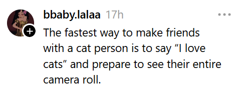bbaby.lalaa 17h (+ The fastest way to make friends with a cat person is to say "I love cats" and prepare to see their entire camera roll.