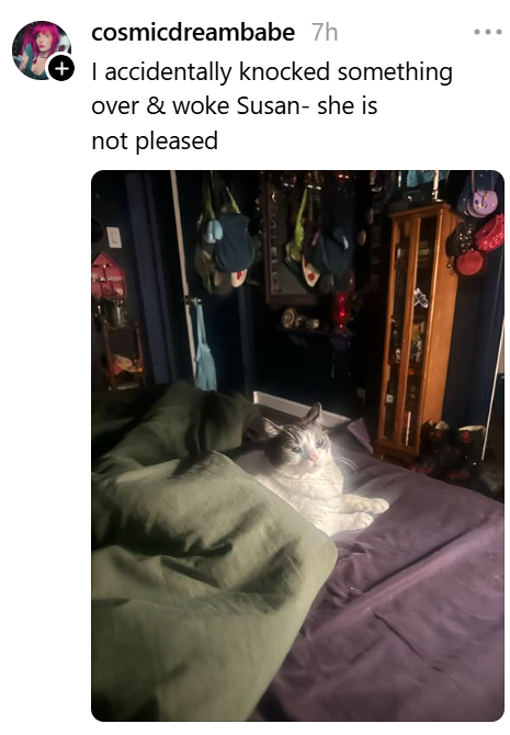 cosmicdreambabe 7h I accidentally knocked something over & woke Susan- she is not pleased ...