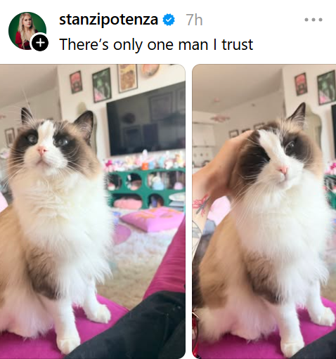 stanzipotenza ✶ 7h + There's only one man I trust