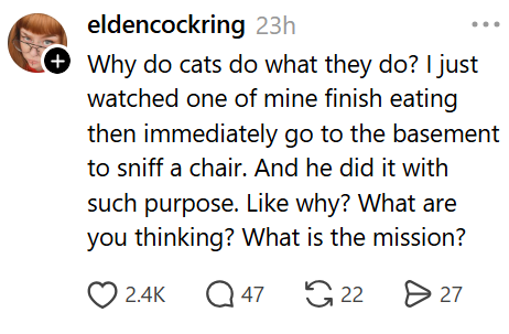 eldencockring 23h (Why do cats do what they do? I just watched one of mine finish eating then immediately go to the basement to sniff a chair. And he did it with such purpose. Like why? What are you thinking? What is the mission? 2.4K Q47 2227