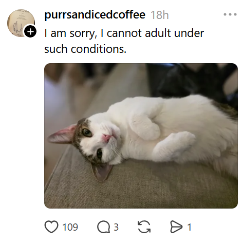 purrsandicedcoffee 18h (+ I am sorry, I cannot adult under such conditions. 109 Q 3 1