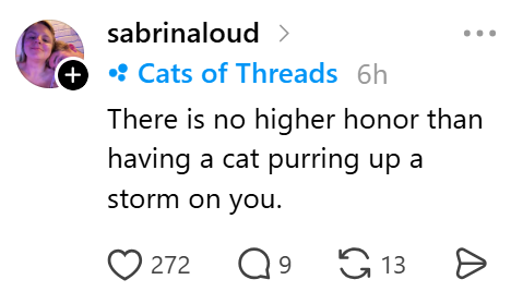 sabrinaloud > (+) • Cats of Threads 6h There is no higher honor than having a cat purring up a storm on you. 272 Q913 Ө