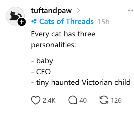 + tuftandpaw > • Cats of Threads 15h Every cat has three personalities: - baby - CEO tiny haunted Victorian child ❤2.4K Q40 126