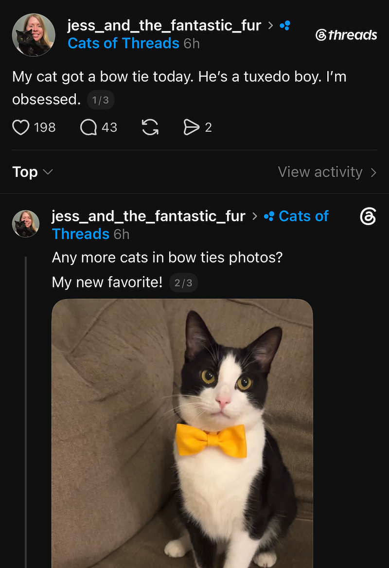 jess_and_the_fantastic_fur > •• Cats of Threads 6h ⑥threads My cat got a bow tie today. He's a tuxedo boy. I'm obsessed. 1/3 198 Q43 > 2 Top ✓ View activity > கு jess_and_the_fantastic_fur > • Cats of Threads 6h Any more cats in bow ties photos? My new favorite! 2/3