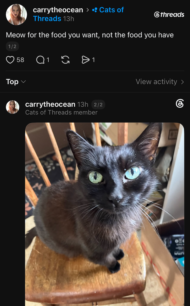 carrytheocean > •: Cats of Threads 13h ⑥threads Meow for the food you want, not the food you have 1/2 Тор 58 Q1 G = 1 carrytheocean 13h 2/2 Cats of Threads member View activity > 6