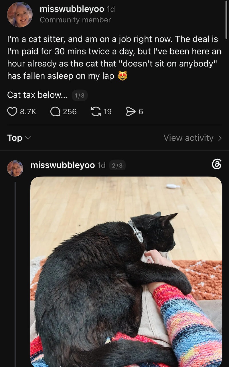 misswubbleyoo 1d Community member I'm a cat sitter, and am on a job right now. The deal is I'm paid for 30 mins twice a day, but I've been here an hour already as the cat that "doesn't sit on anybody" has fallen asleep on my lap Cat tax below... 1/3 O 8.7K Q 256 Top ✓ 19 > 6 View activity > கு misswubbleyoo 1d 2/3