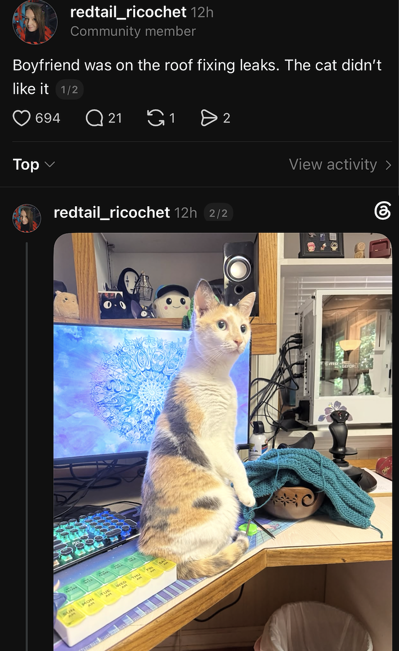 redtail_ricochet 12h Community member Boyfriend was on the roof fixing leaks. The cat didn't like it 1/2 Top 694 Q21 G1 > 2 redtail_ricochet 12h 2/2 View activity > கு SUN AM MON AM TUE AM WED THU AM msi- GEFORC