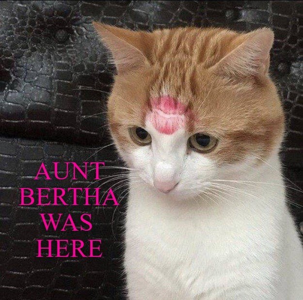 AUNT BERTHA WAS HERE