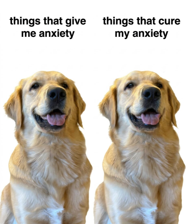 things that give me anxiety things that cure my anxiety