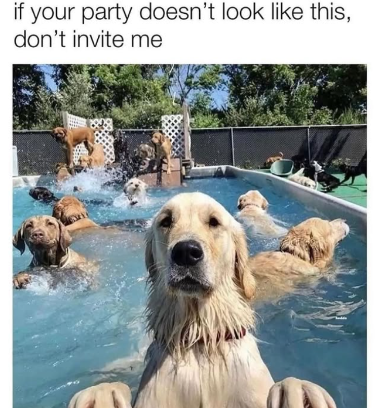 if your party doesn't look like this, don't invite me hedds