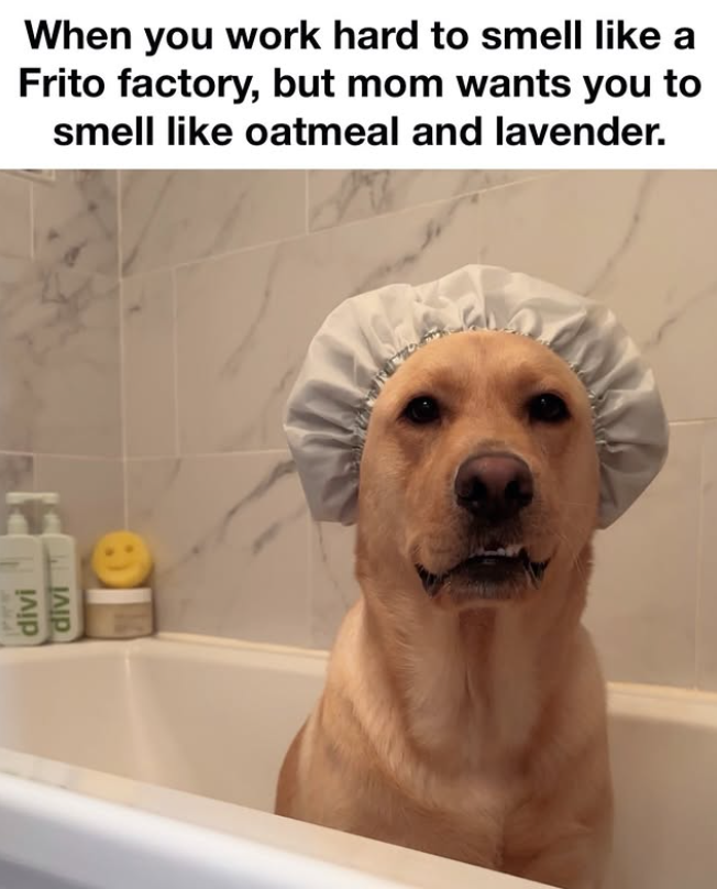 divi divi e When you work hard to smell like a Frito factory, but mom wants you to smell like oatmeal and lavender.