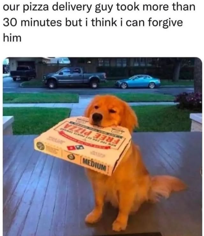 our pizza delivery guy took more than 30 minutes but i think i can forgive him MEDIUM