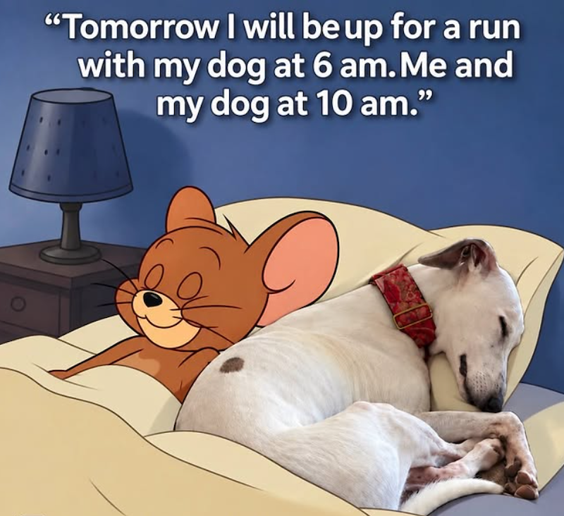 "Tomorrow I will be up for a run with my dog at 6 am. Me and my dog at 10 am."