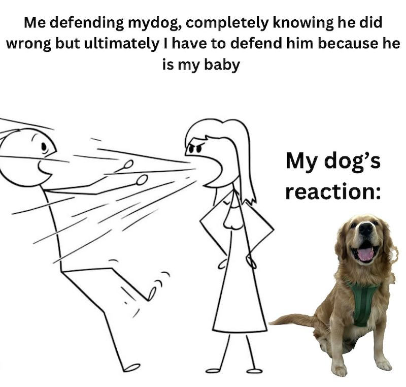 Me defending mydog, completely knowing he did wrong but ultimately I have to defend him because he is my baby My dog's reaction:
