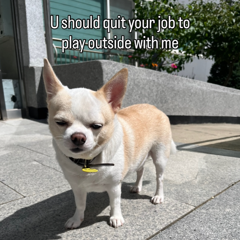 U should quit your job to play outside with me