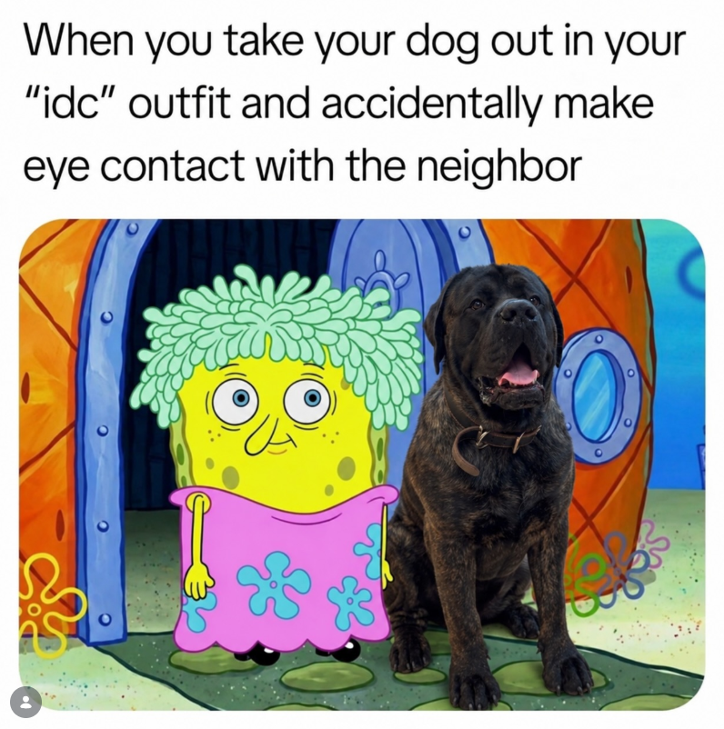 When you take your dog out in your "idc" outfit and accidentally make eye contact with the neighbor O