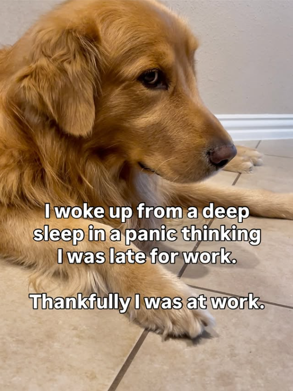 I woke up from a deep sleep in a panic thinking I was late for work. Thankfully I was at work.