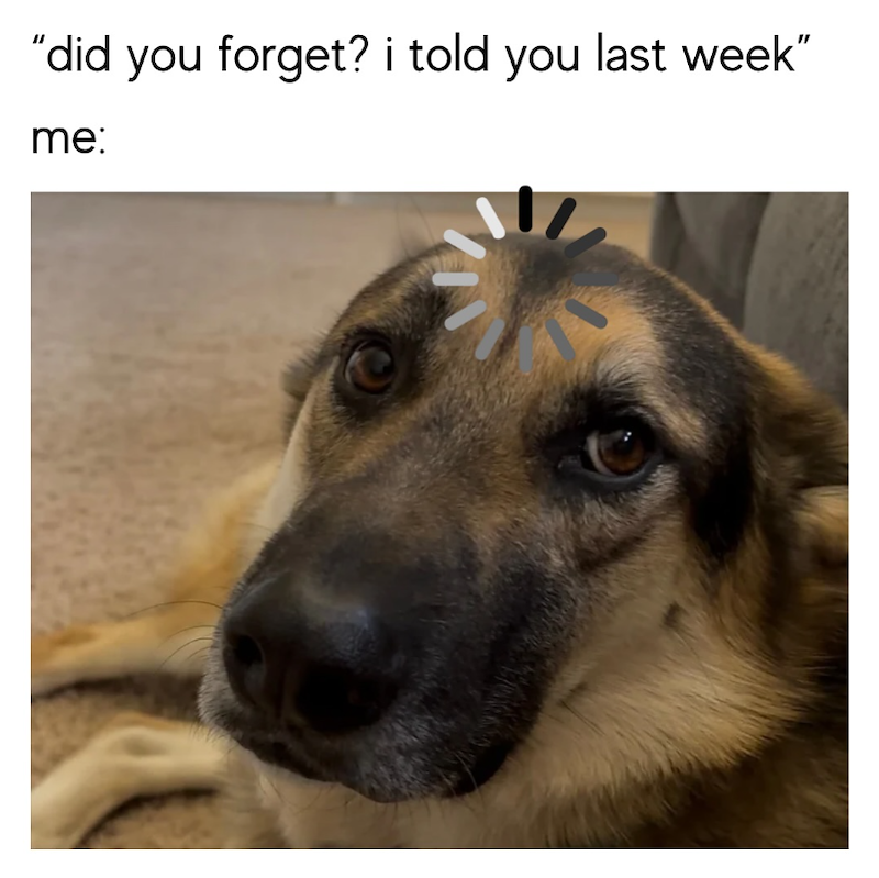 "did you forget? i told you last week" me: