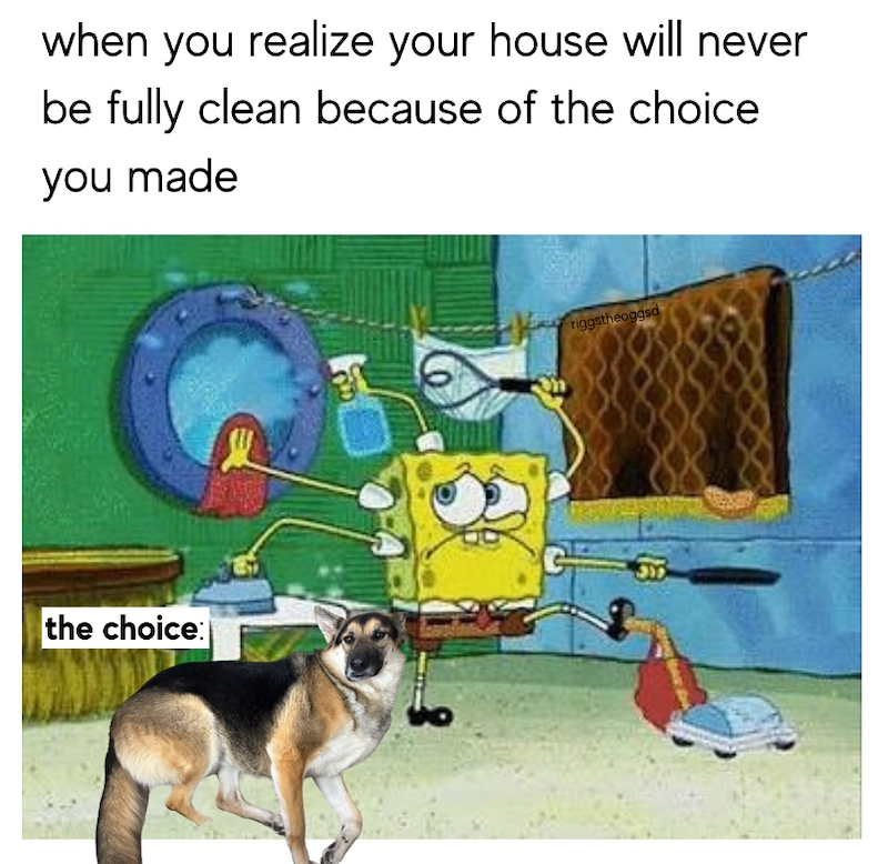 when you realize your house will never be fully clean because of the choice you made the choice: riggstheoggsd