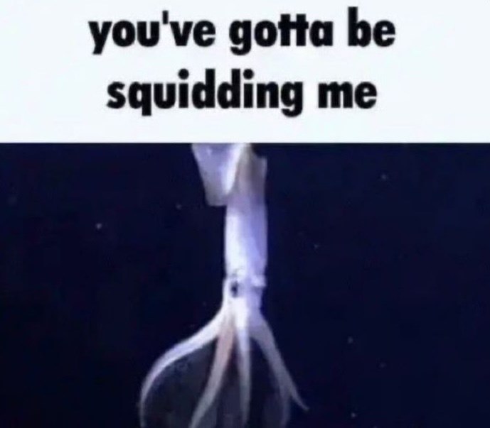 you've gotta be squidding me