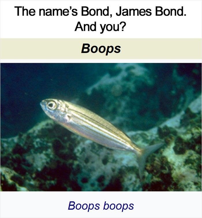 The name's Bond, James Bond. And you? Boops Boops boops