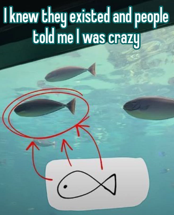 I knew they existed and people told me I was crazy
