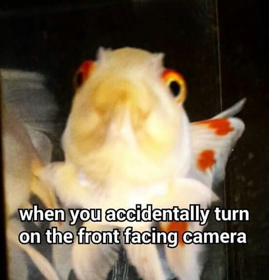 when you accidentally turn on the front facing camera