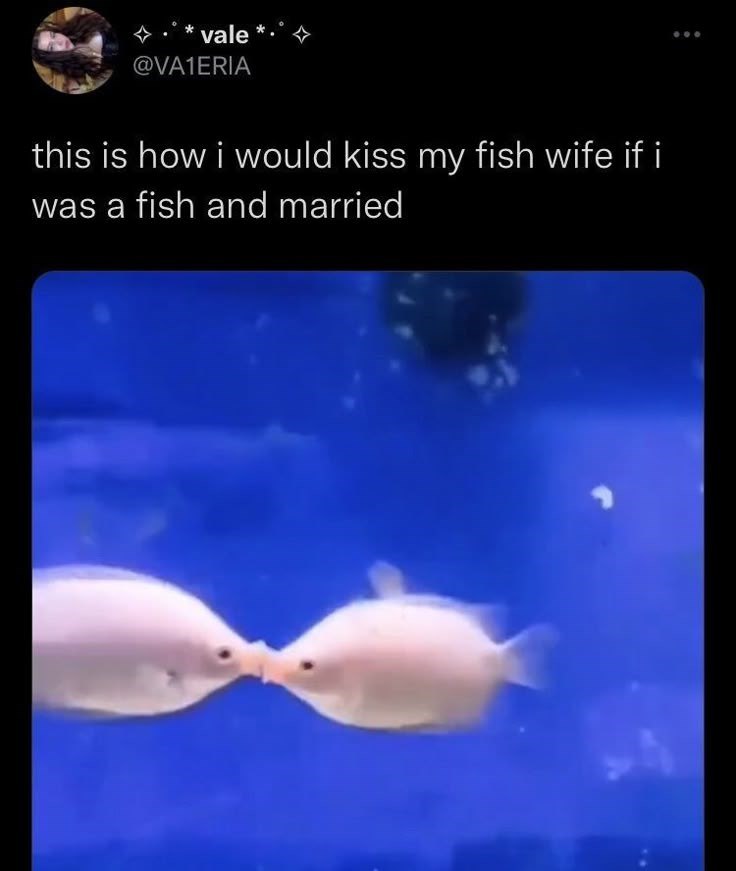 vale *. @VA1ERIA this is how i would kiss my fish wife if i was a fish and married 600
