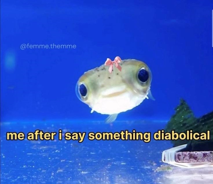 @femme.themme me after i say something diabolical