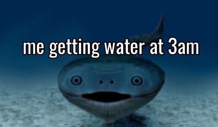 me getting water at 3am