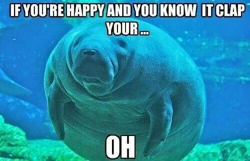 IF YOU'RE HAPPY AND YOU KNOW IT CLAP YOUR... OH