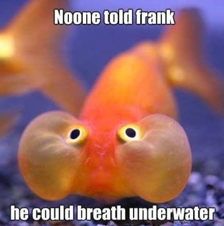 Noone told frank he could breath underwater