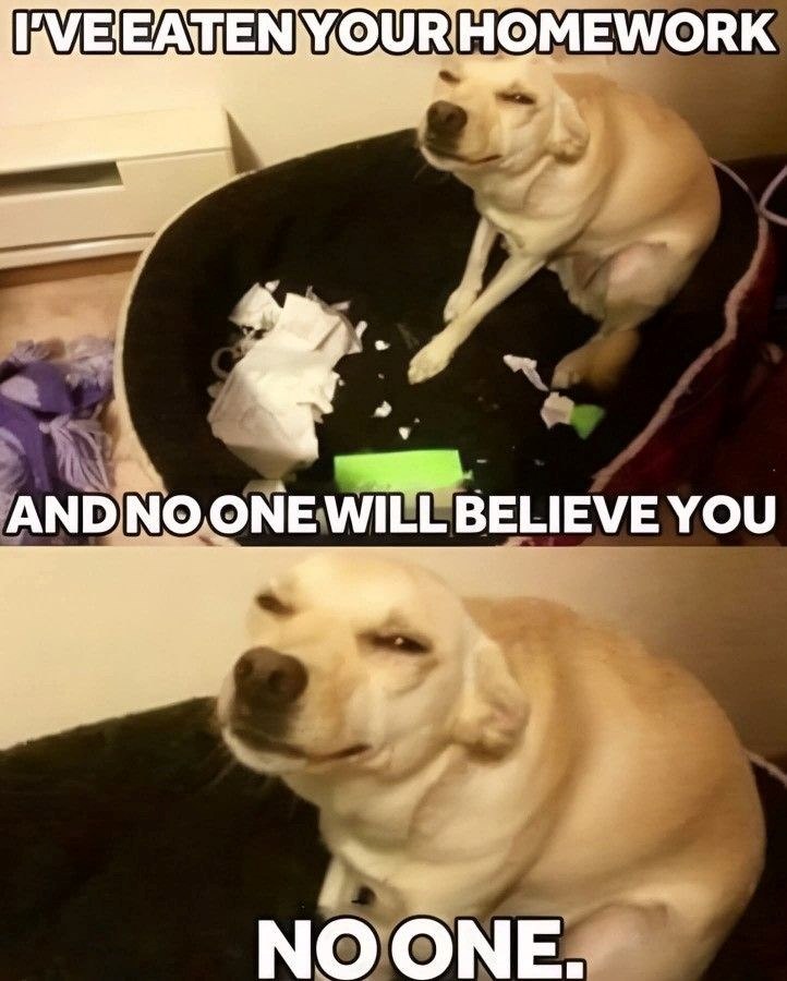 I'VE EATEN YOUR HOMEWORK AND NO ONE WILL BELIEVE YOU NO ONE.