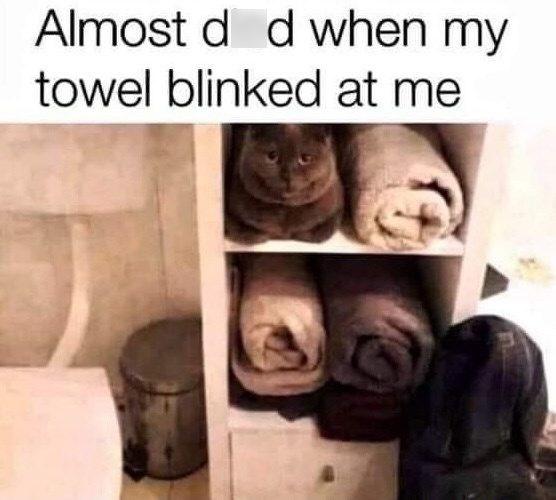 Almost d d when my towel blinked at me