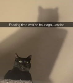 Feeding time was an hour ago, Jessica