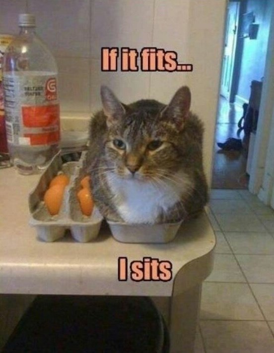 SALTUSE G If it fits.. I sits
