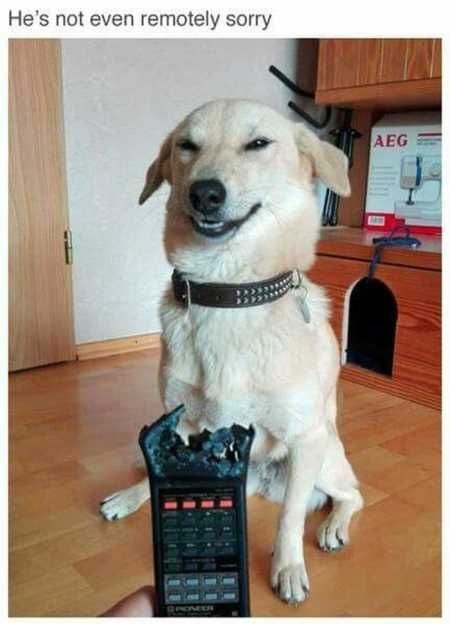 He's not even remotely sorry AEG