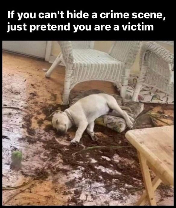 If you can't hide a crime scene, just pretend you are a victim