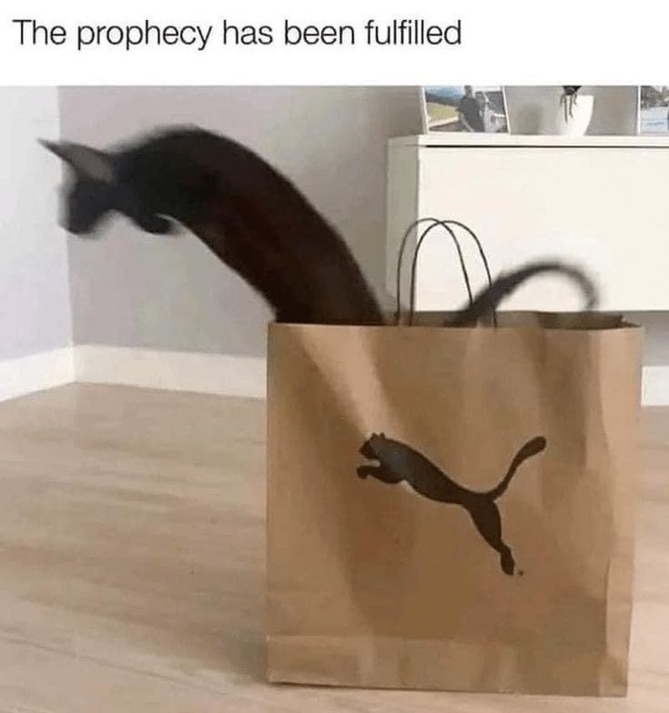 The prophecy has been fulfilled